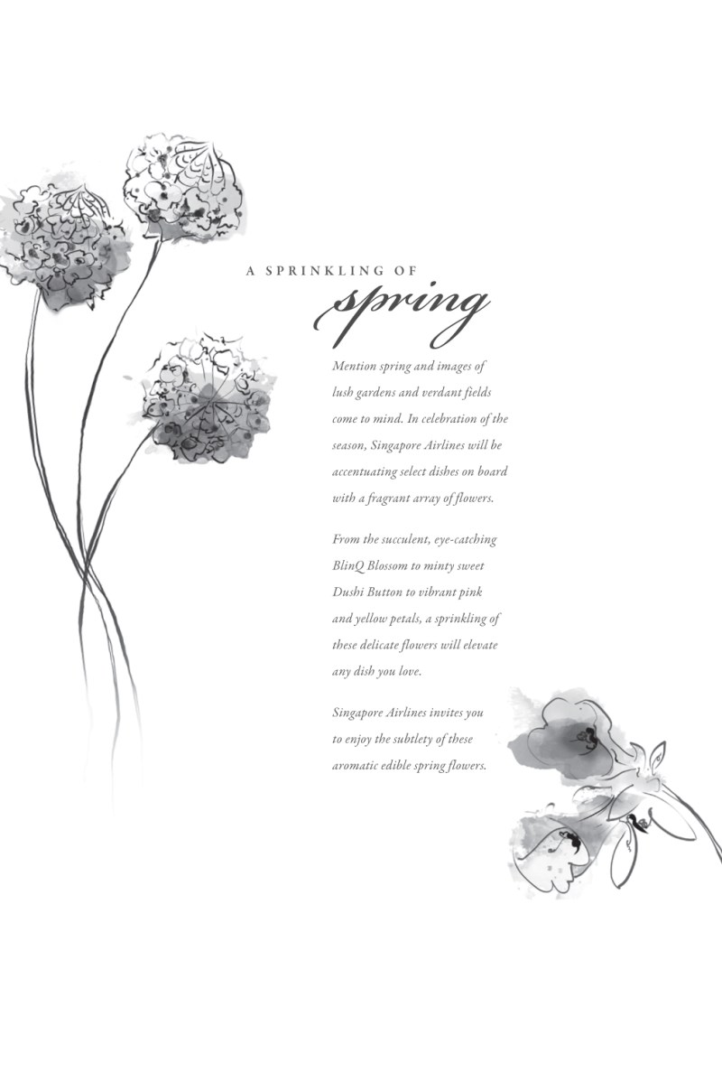 Singapore Airlines Flight Menu with TBWA. Dushi Buttons and BlinQ Blossoms