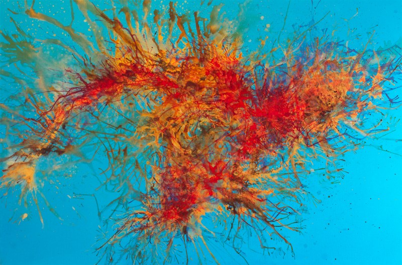 _MG_0972_InTheBrightSunshineOfAGloriousDay copy